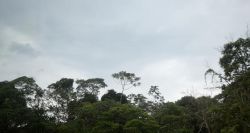 Semana começa com mormaço em Rondônia, aponta previsão do Sipam